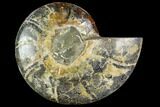 Bargain, Agatized Ammonite Fossil (Half) - Crystal Chambers #111547-1